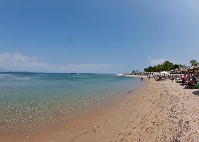 Hotel Golden Potidea 3*